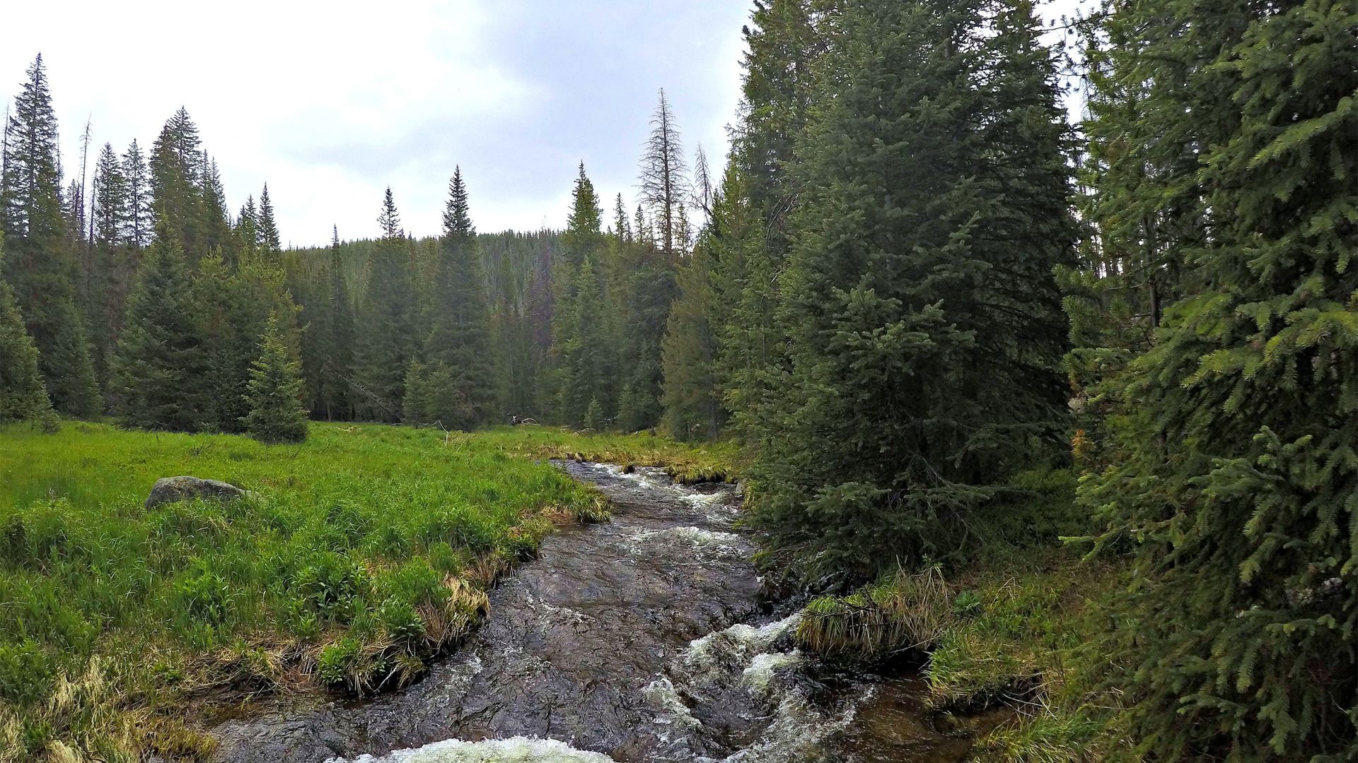 Hiking in the Rockies